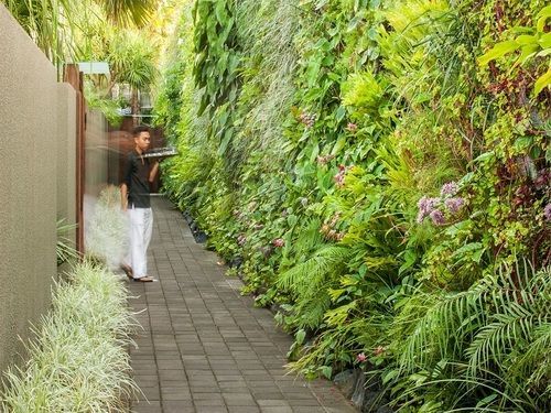 Ivilla By Ekosistem Seminyak  Bagian luar foto